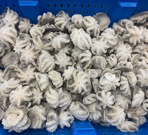 八抓魚加工